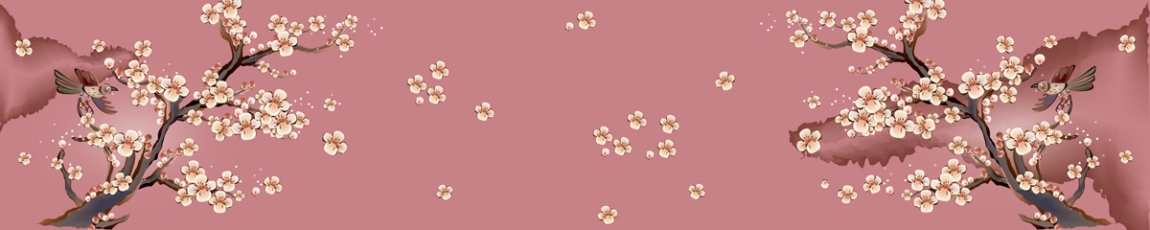 skinali 3786